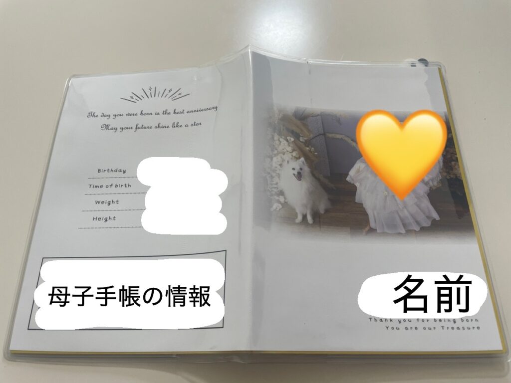 私たちが撮影した時にプレゼントで貰った母子手帳カバー