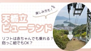 天橋立ビューランドのリフトは赤ちゃんでも乗れる？抱っこ紐でも大丈夫？