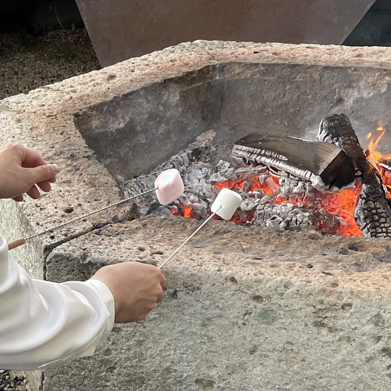 ドッグリゾートhaijmeで焼きマシュマロ体験をしている。18時まで焚火をしているので、その火で作れる。
