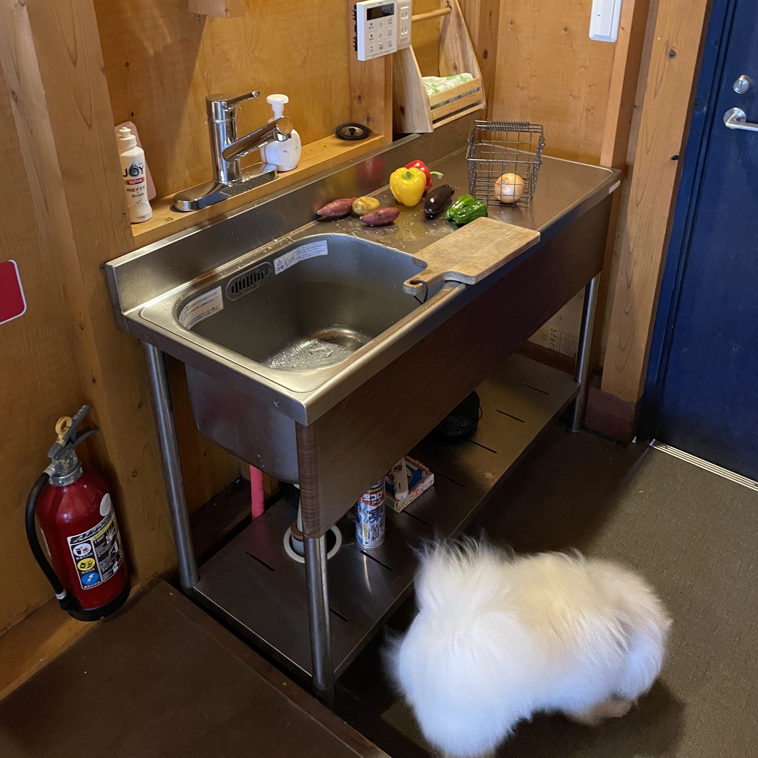 ドッグリゾートhajimeのテラスサファリのキッチン。