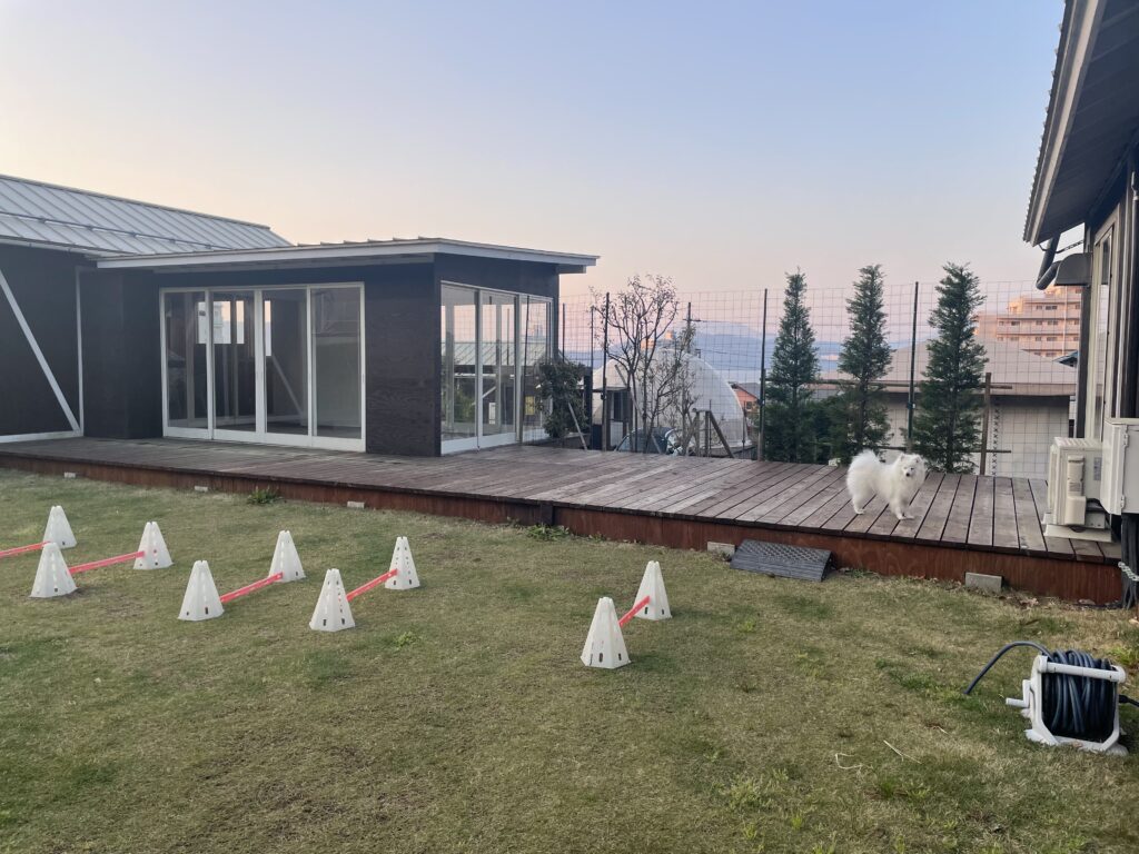 ドッグリゾートhaijmeにあるプライベートドッグラン。芝生は整備されていて、脱走防止のネットが張られている。