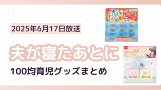 【夫が寝たあとに】100均育児グッズまとめ（2025/6/17放送）